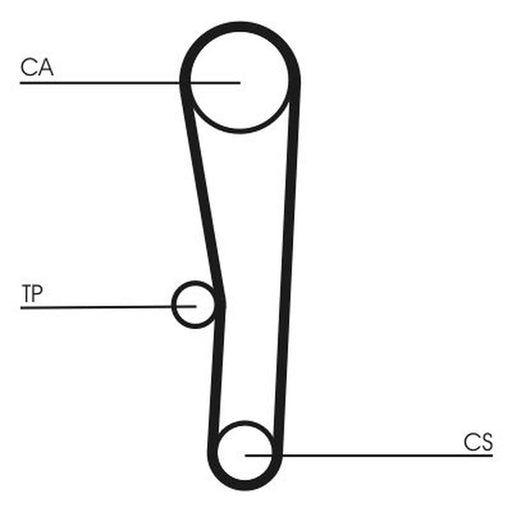 Continental CTAM Timing Belt Cambelt 110 Teeth CT1062
