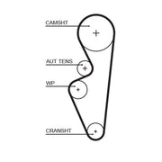 Gates Timing Belt Cambelt 113 Teeth 5670XS