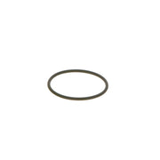 Bosch Rubber Seal Ring F 00N 202 130