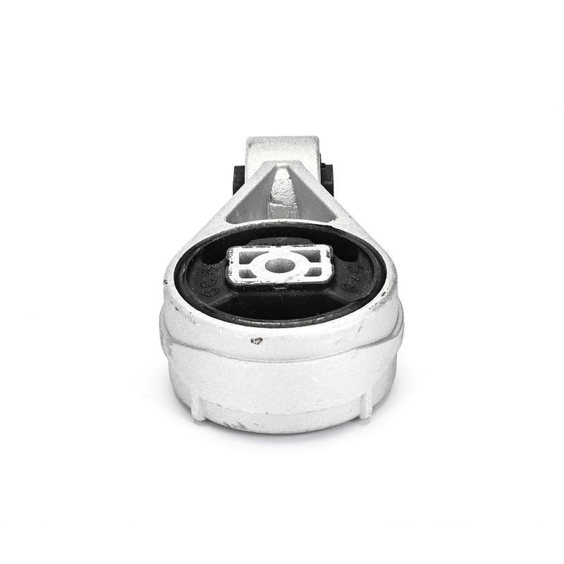 Delphi Engine Mount Mounting Rear TEM297