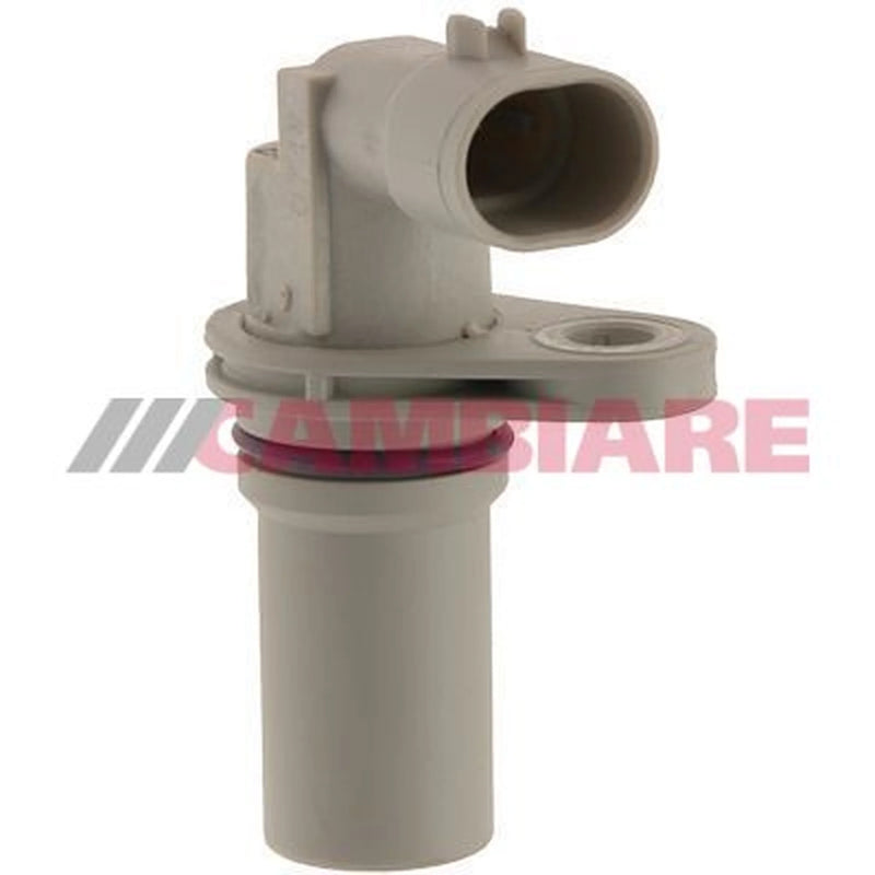 Cambiare Crankshaft Position Sensor VE363178