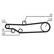 Continental CTAM Timing Belt Cambelt 113 Teeth CT635