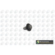 BGA Oil Sump Screw Plug PK2305