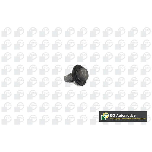 BGA Oil Sump Screw Plug PK2305