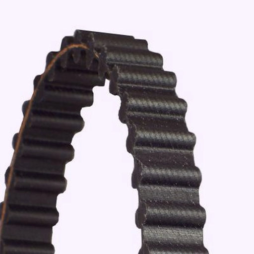 Continental CTAM Timing Belt Cambelt 110 Teeth CT925
