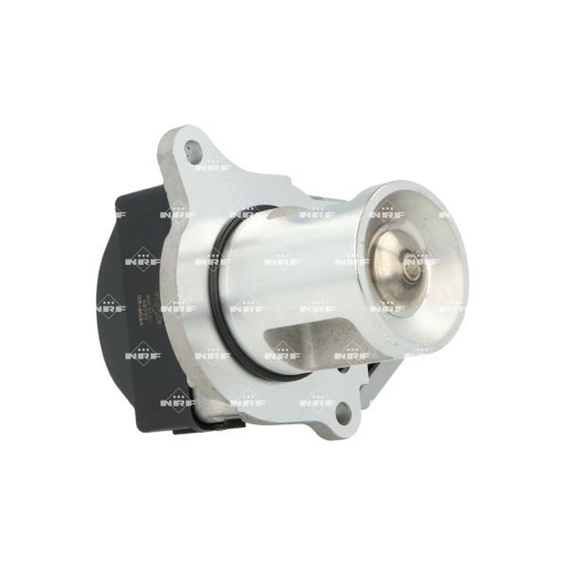 NRF Exhaust Gas Recirculation Valve 48737