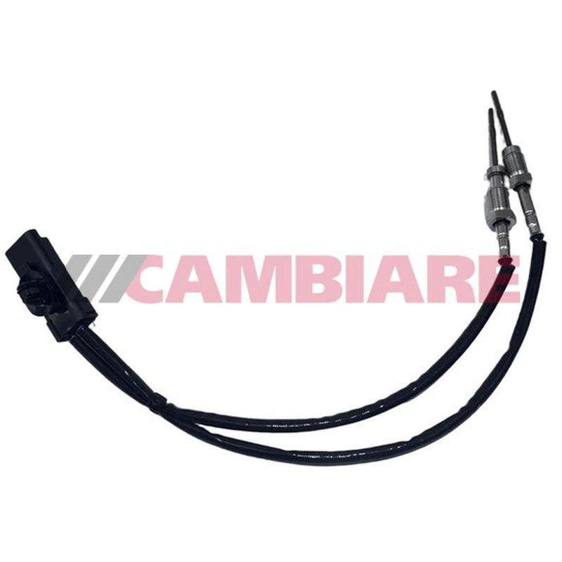 Cambiare Exhaust Gas Temperature Sensor before soot parti VE390502
