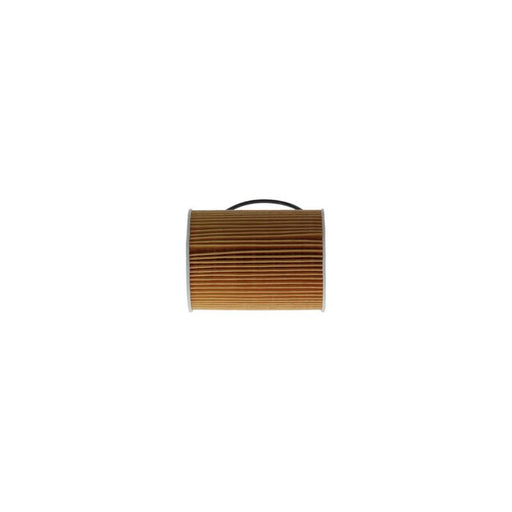 Bosch Engine Oil Filter F 026 407 255