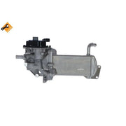 NRF Exhaust Gas Recirculation Valve 48210