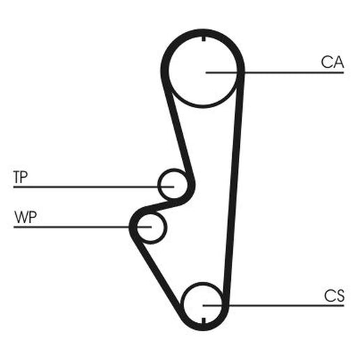 Continental CTAM Timing Belt Cambelt 108 Teeth CT765