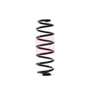 Apec Rear Suspension Coil Spring ACS1738