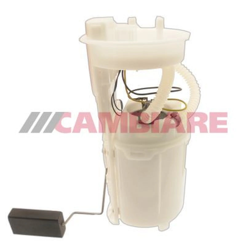 Cambiare Fuel Tank Sender Unit in the fuel tank VE523003