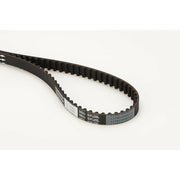Continental CTAM Timing Belt Cambelt 100 Teeth CT1066