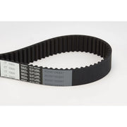 Continental CTAM Timing Belt Cambelt 281 Teeth CT1068