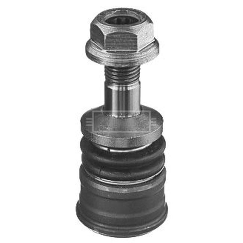 Borg & Beck Ball Joint Lower BBJ5703