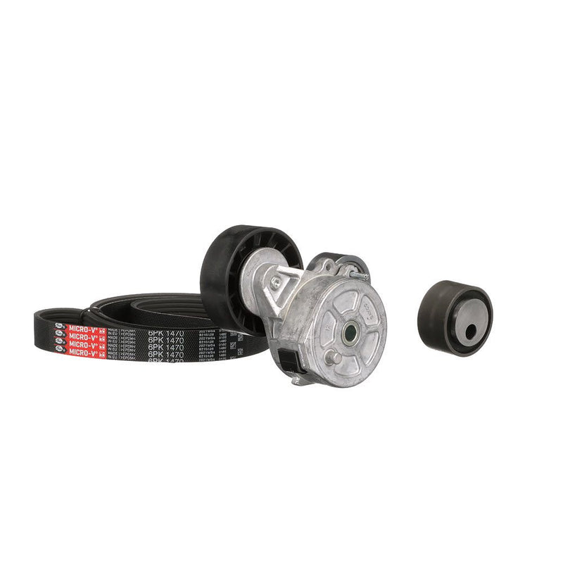 Gates K026PK1470 V-ribbed Belt Set