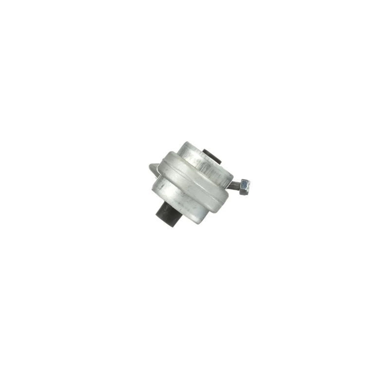Delphi Control/Trailing Arm Front TC5032