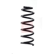 Apec Front Suspension Coil Spring ACS2251