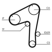 Continental CTAM Timing Belt Cambelt 149 Teeth CT1084