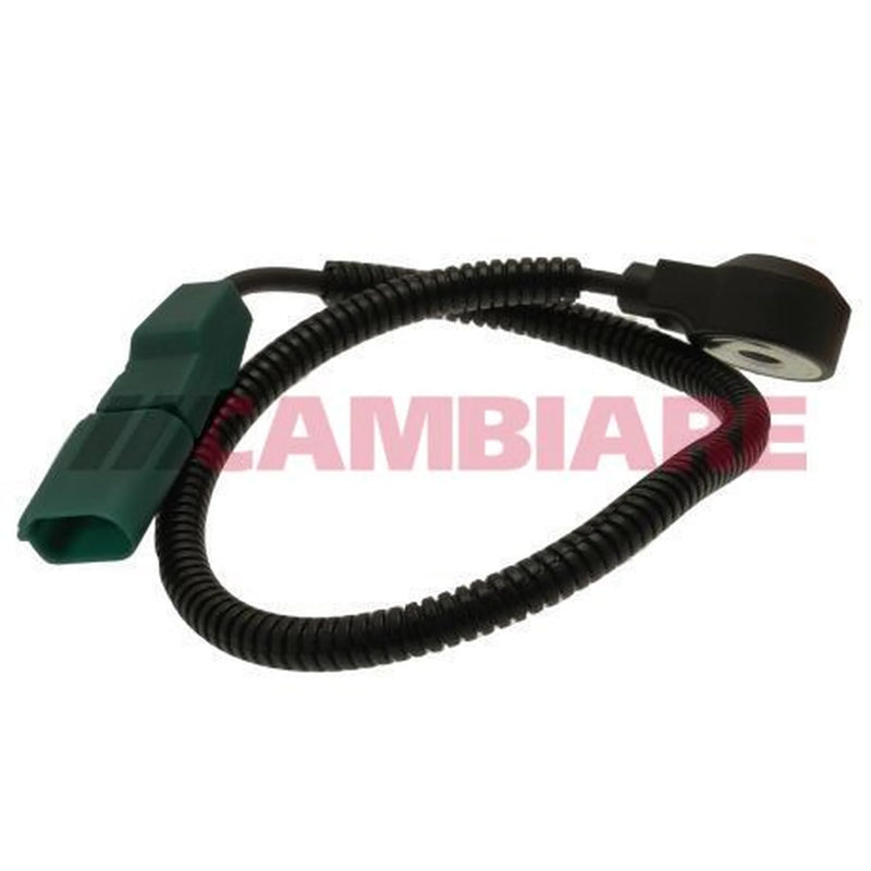 Cambiare Engine Knock Sensor VE369058