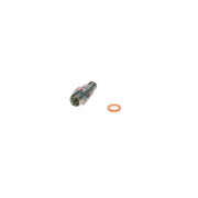 Bosch Fuel Pump Repair Kit 1 587 010 539