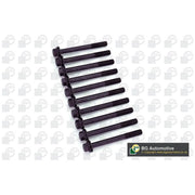 BGA Cylinder Head Bolt Set M10 BK0145