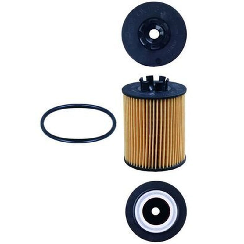 Mahle Engine Oil Filter OX 173/2D