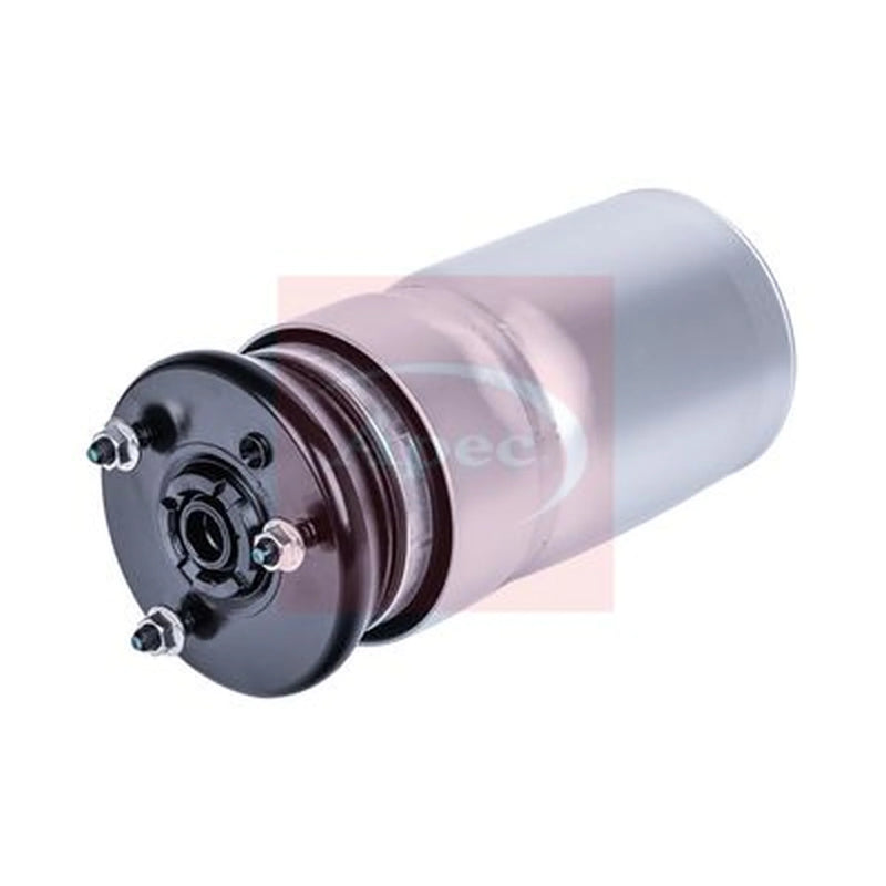 Apec Air Suspension Spring Front Right AAS1180