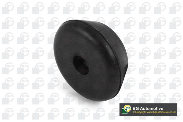Bga Wishbone / Control / Trailing Arm Bush Front BU9169
