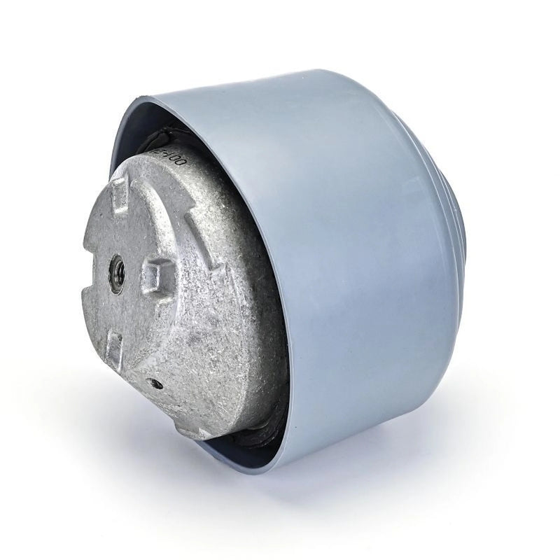 Delphi Engine Mount Mounting Front TEM202