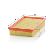 MANN-FILTER Engine Air Filter C 2982 KIT