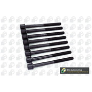 BGA Cylinder Head Bolt Set M11 BK2315