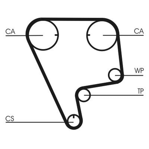 Continental CTAM Timing Belt Cambelt 124 Teeth CT773
