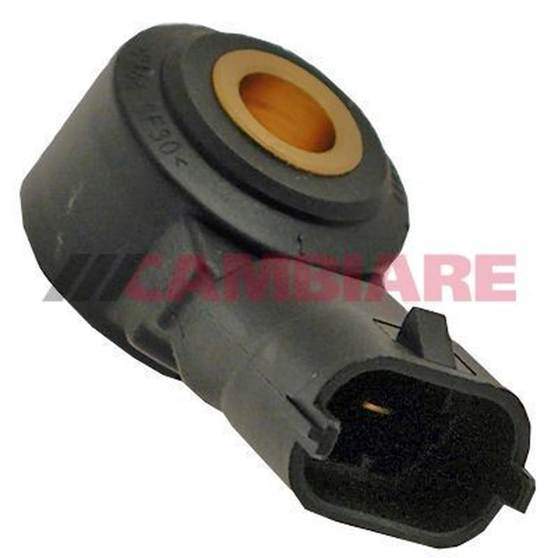 Cambiare Engine Knock Sensor VE369021