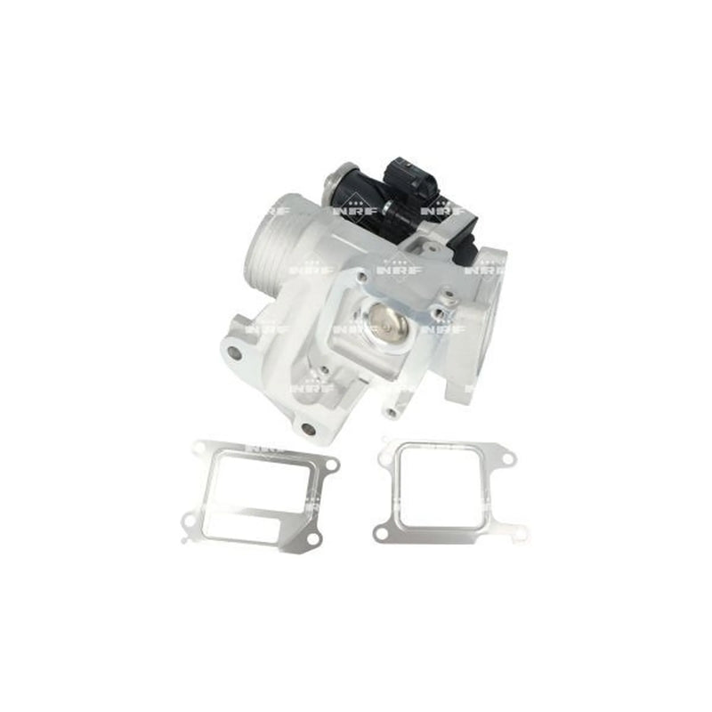 NRF Exhaust Gas Recirculation Valve 48738