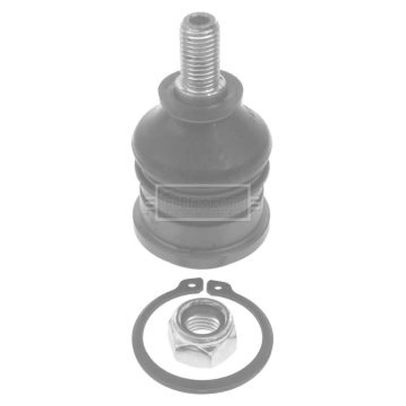 Borg & Beck Ball Joint Lower BBJ5664