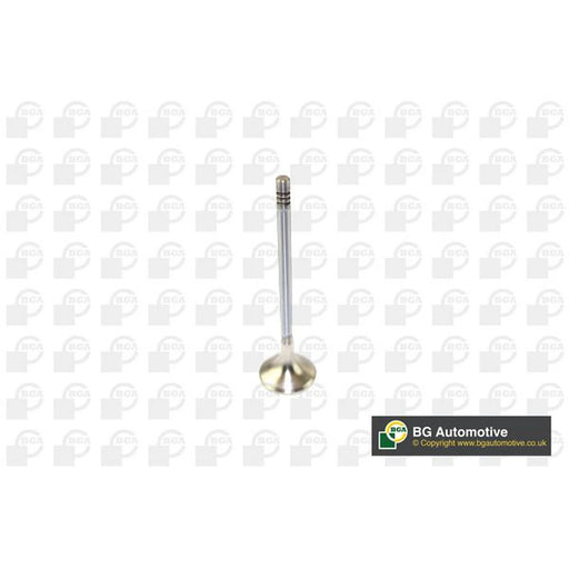 BGA Engine Exhaust Valve 24mm Head V166211