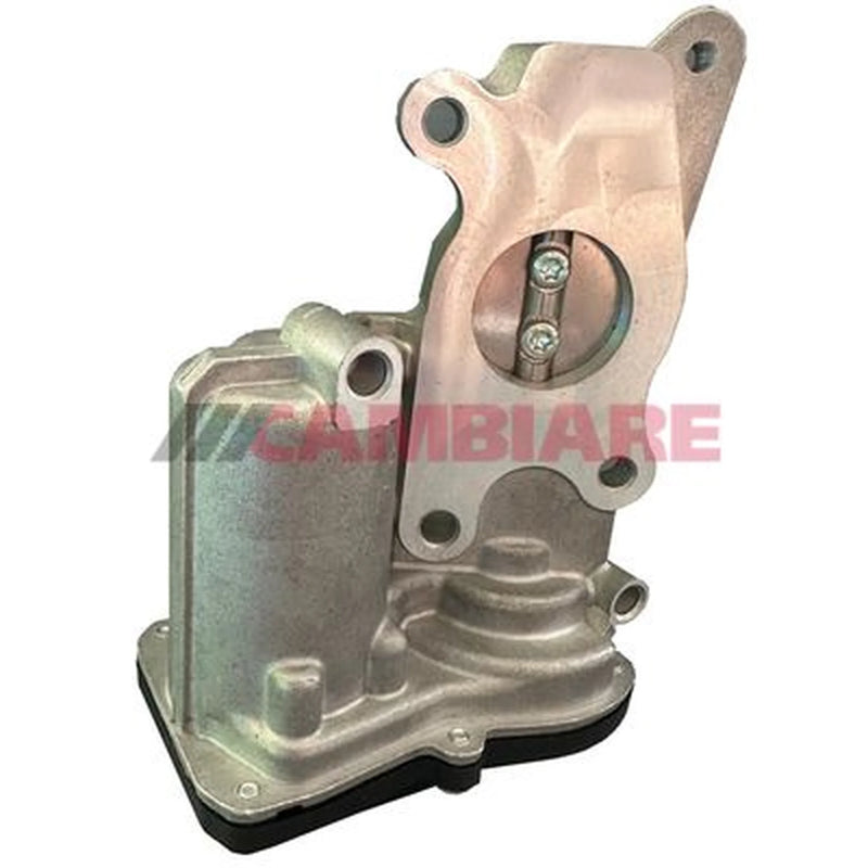 Cambiare Exhaust Gas Recirculation Valve VE360381