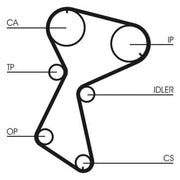 Continental CTAM Timing Belt Cambelt 153 Teeth CT604
