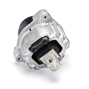 Delphi Engine Mount Mounting both sides TEM255