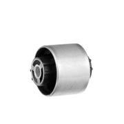 Delphi Wishbone / Control / Trailing Arm Bush TD975W