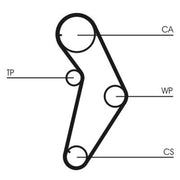 Continental CTAM Timing Belt Kit with Rollers CT927K1