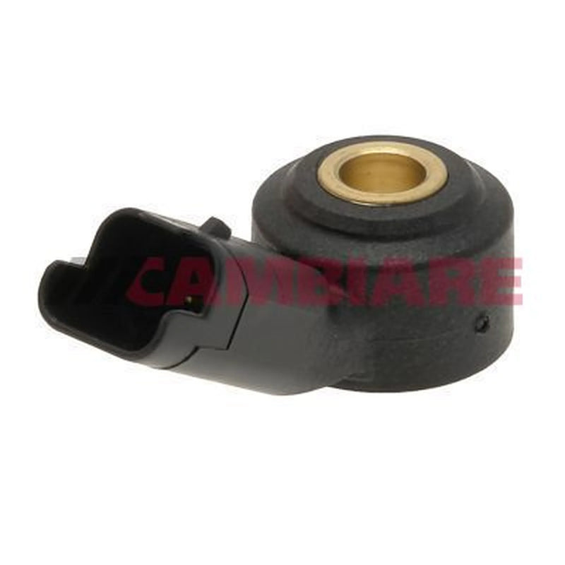 Cambiare Engine Knock Sensor VE369057