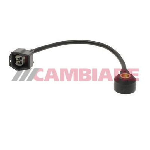 Cambiare Engine Knock Sensor VE369055