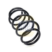 NAPA Front Suspension Coil Spring NCS2435