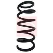 Apec Front Suspension Coil Spring ACS1641
