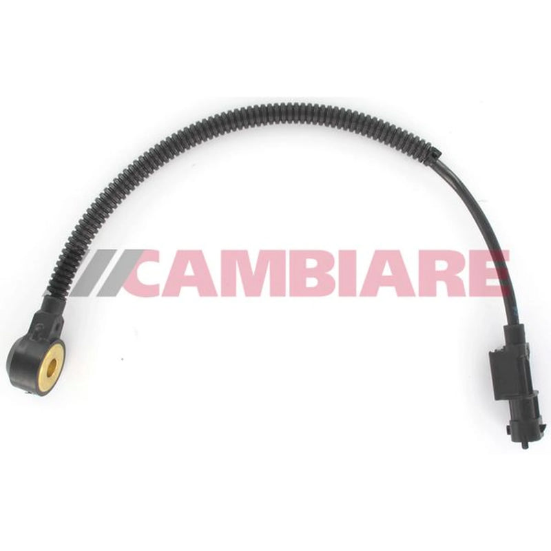 Cambiare Engine Knock Sensor VE369156