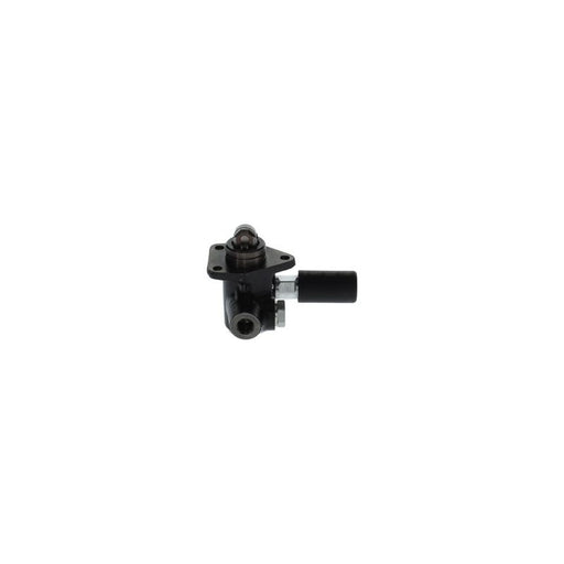 Bosch Fuel Pump Assembly 0 440 008 020