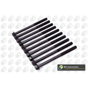 BGA Cylinder Head Bolt Set M10 BK4352