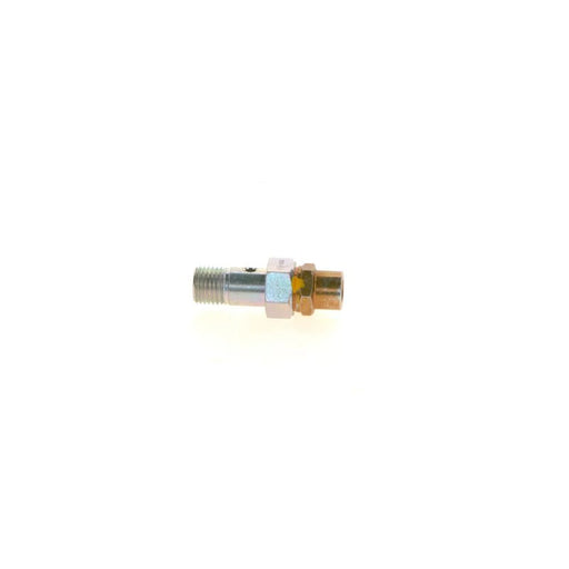 Bosch Fuel Injection Control Valve 1 417 413 049